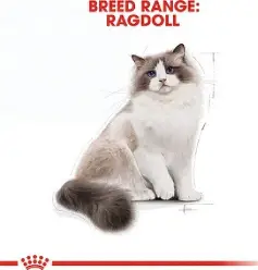 Feline Breed Nutrition Ragdoll Adult 2 KG thumbnail 3