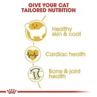 Feline Breed Nutrition Ragdoll Adult 2 KG thumbnail 2